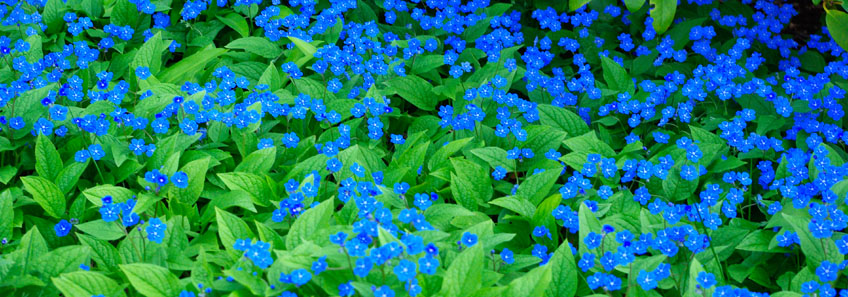 Willkommen auf dem Landhof Gro Breese